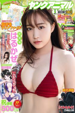 海贼女帝被海军俘虏本子